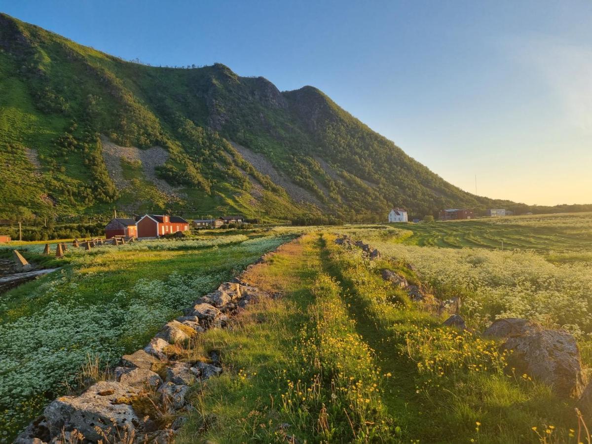 Villa Walter Lofoten With Sauna Kvalnes  Екстериор снимка