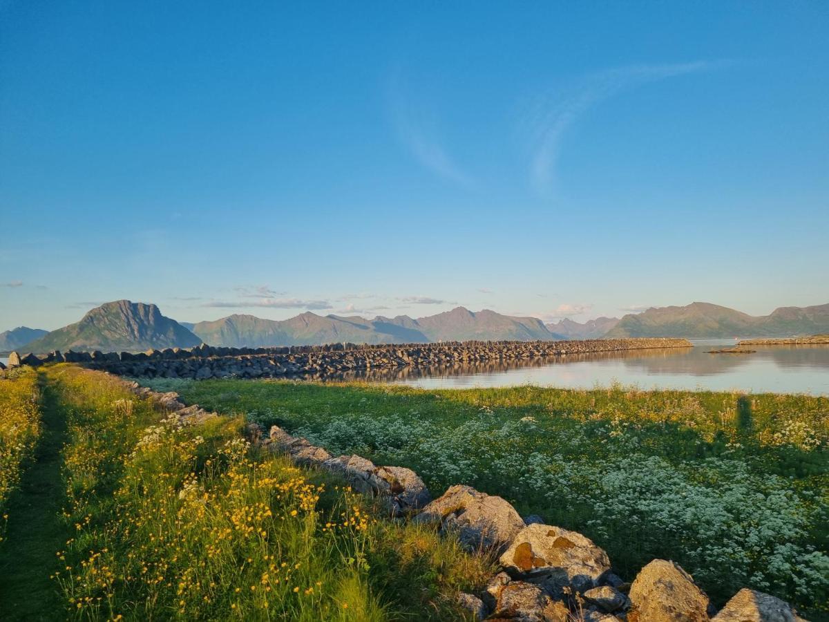 Villa Walter Lofoten With Sauna Kvalnes  Екстериор снимка
