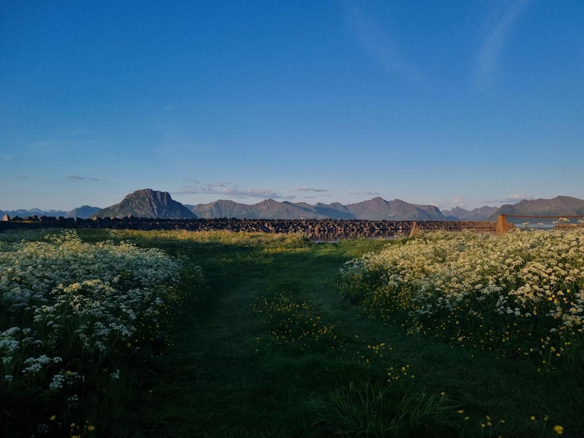 Villa Walter Lofoten With Sauna Kvalnes  Екстериор снимка